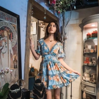 Gypsy_Willow_03