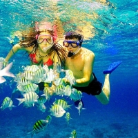 Paradise Adventures in Panama City Beach, Florida on the Visitor's Map