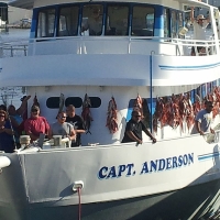 capt_andersons_marina_001