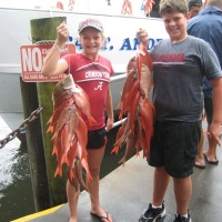 capt_andersons_marina_003