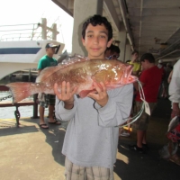 capt_andersons_marina_007