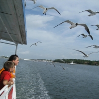capt_andersons_marina_009