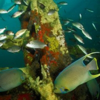 dive_locker_00