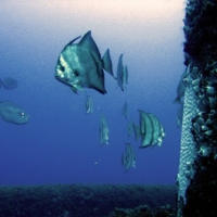 dive_locker_02