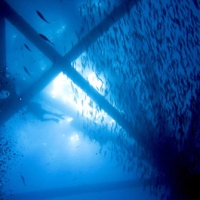 dive_locker_05