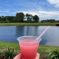 duplin-winery_08