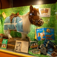 ripleys-panama-city-beach_003