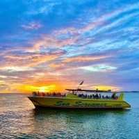 sea-screamer_panama_city-beach_1