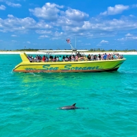 sea-screamer_panama_city-beach_4
