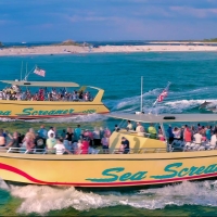 sea-screamer_panama_city-beach_5