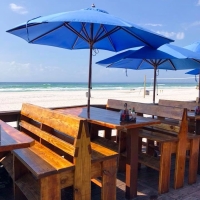 Sharky's Beachfront Restaurant in Panama City Beach, Florida Sharky's Beachfront Restaurant in Panama City Beach, Florida