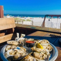 sharkys-panama-city-beach_13