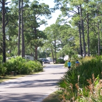 st_andrews_state_park_011