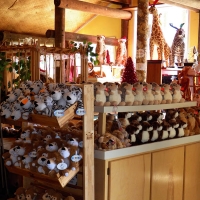 zooworld_00