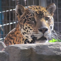 zooworld_01