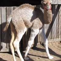 zooworld_02