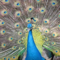 zooworld_03