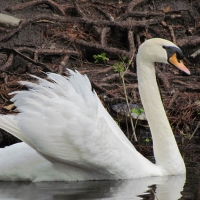 zooworld_04