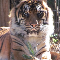 zooworld_06