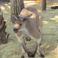 zooworld_07