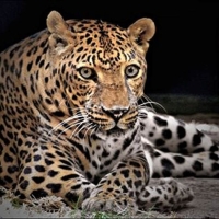 ZooWorld Animal Park in Panama City Beach, Florida ZooWorld Animal Park in Panama City Beach, Florida